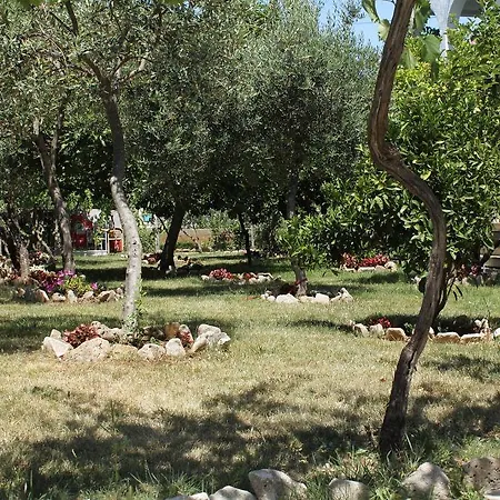 3589d * Sućuraj